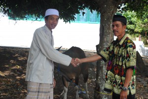 qurban