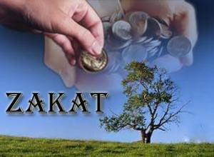 zakat produktif
