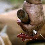 Menyembelih Binatang Diatas Kuburan