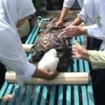 Cara Memandikan Jenazah